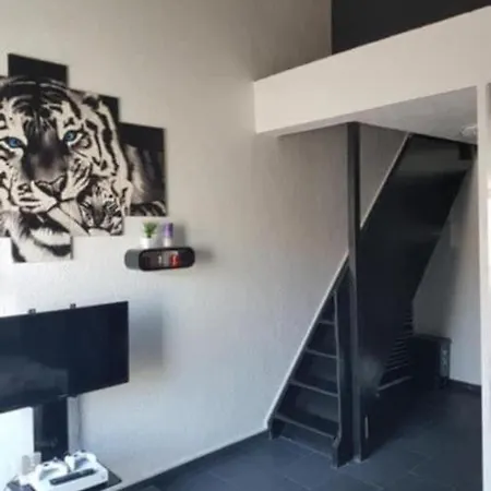 Apartment Location Cap D'agde A 150m De La Plage Du Mole *